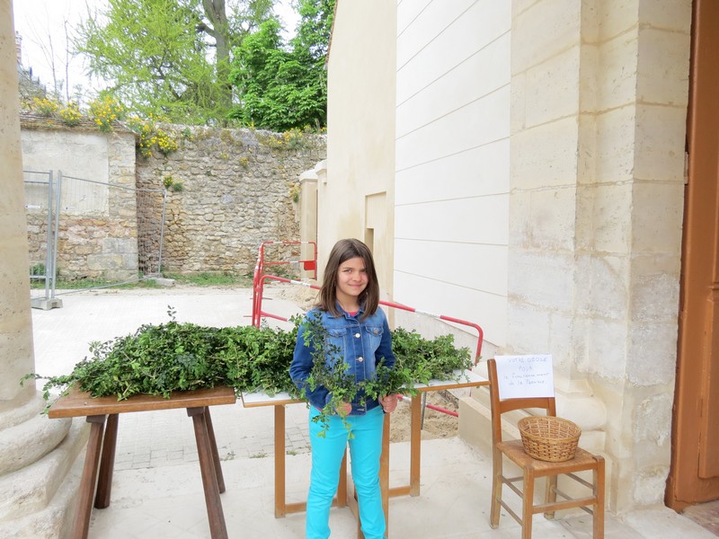 Rameaux 2014